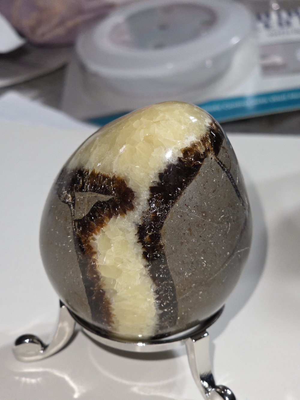 Polished Septarian Calcite "Dragon Stone" Egg - Picture 7 of 14